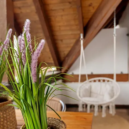 Holzapfel Daire Dunningen